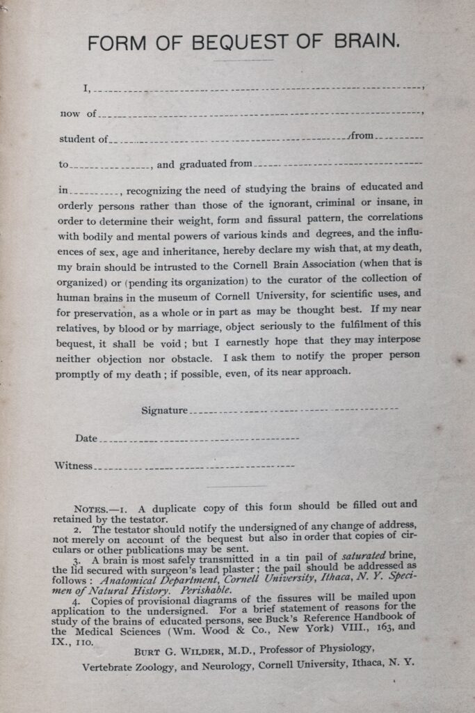 Read before signing: The bequest from Wilder used to solicit donations