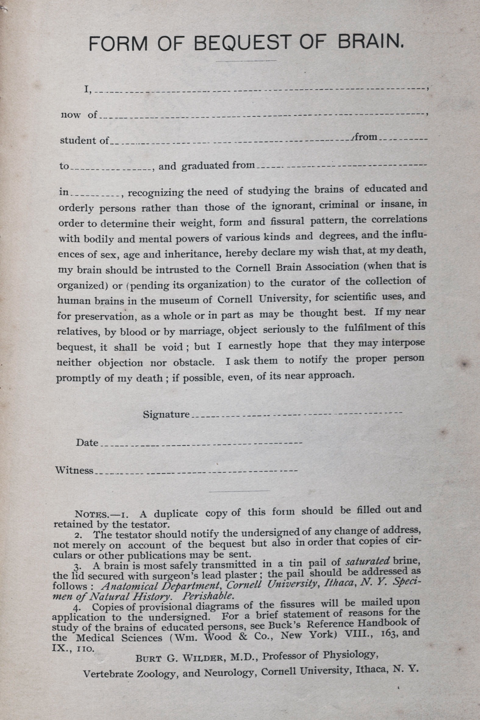 Bequeath Form Template.pdf Brains! Collection Is a (Slightly Spooky) Artifact of an Earlier Era ...