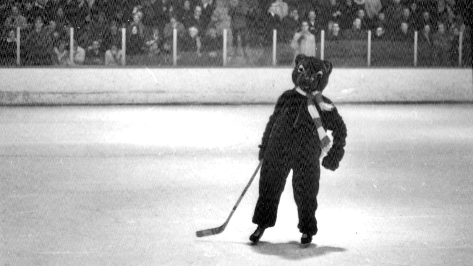 An ancestor of the current Touchdown mascot takes to the ice at Lynah Rink