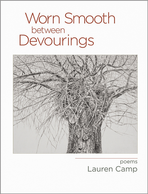 The cover of "Worn Smooth Between Devourings"