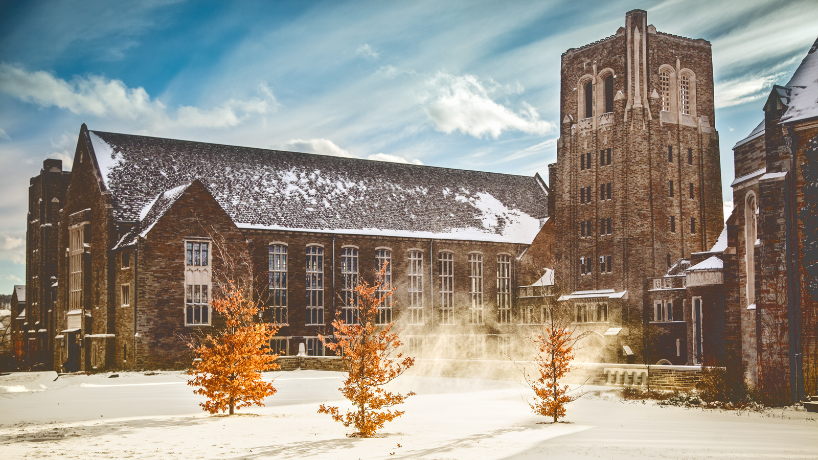 Three trees with sparse orange leaves in front of Myron Taylor Hall, with snow on the ground.