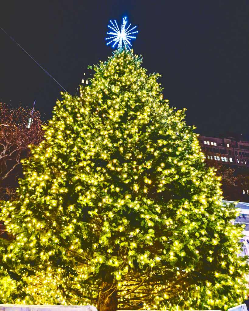 A large Christmas tree lit with yellow lights and a blue star on top on display in Bryant Park in midtown Manhattan, New York City.