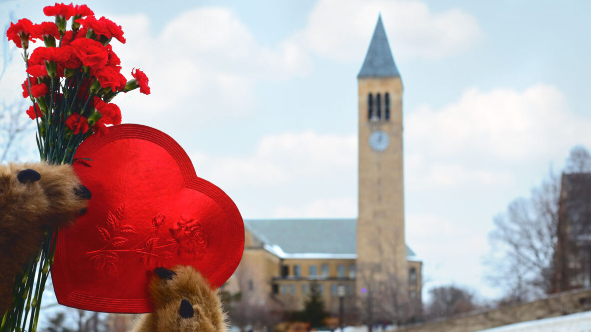 What’s Your Ideal Cornell Date?