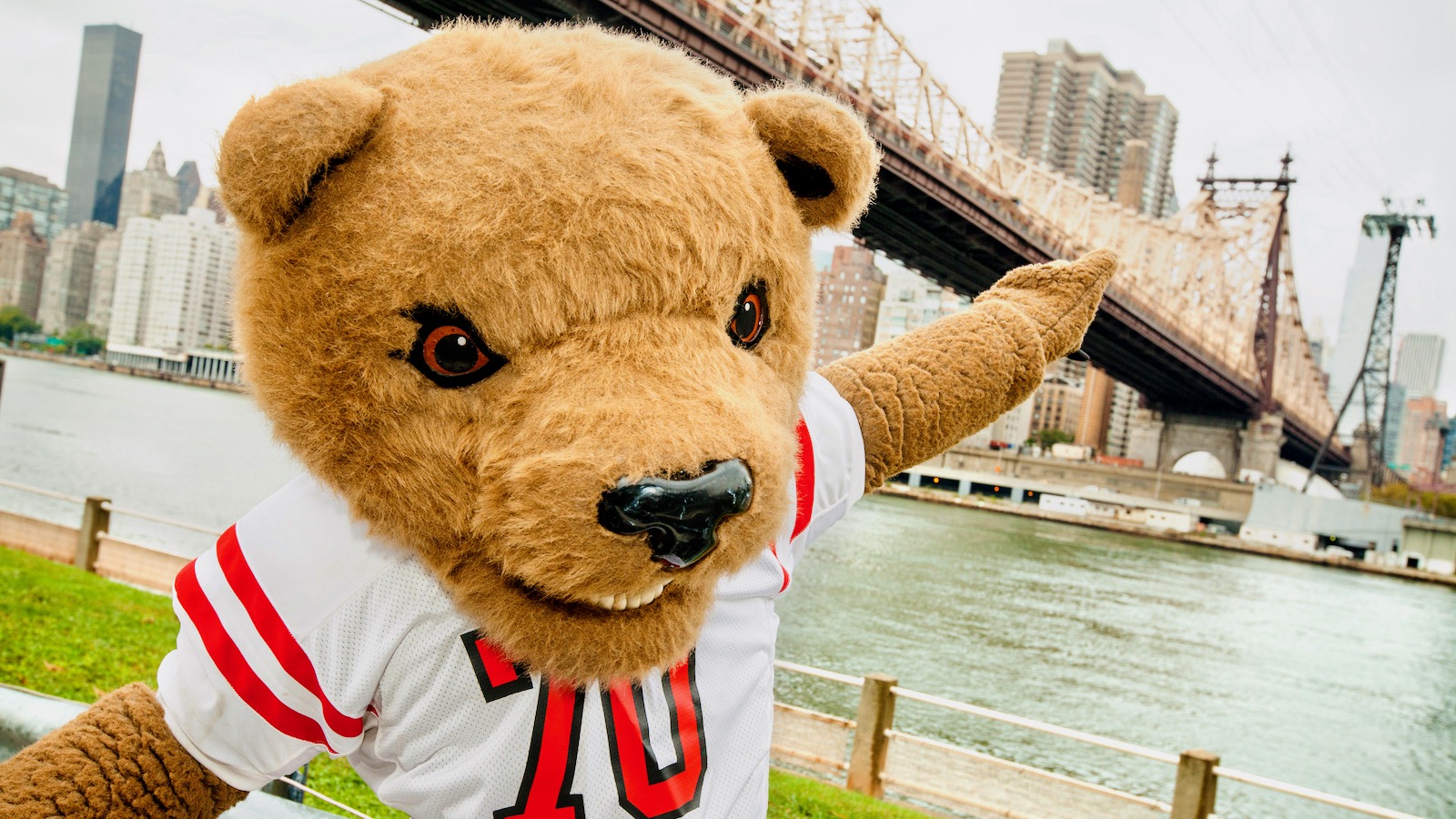 Touchdown the Bear in New York City