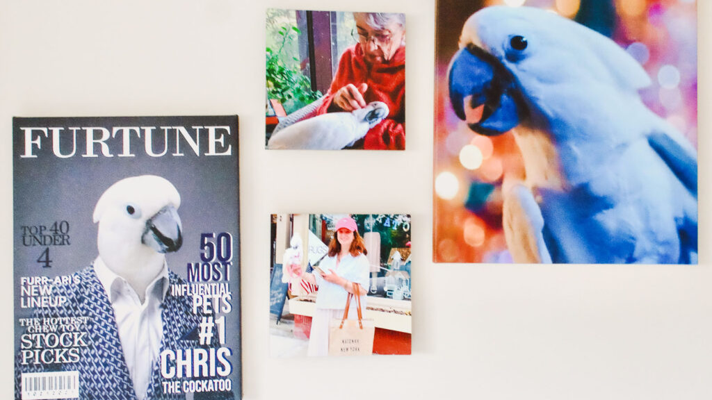 One of Chris’s walls at home is bedecked with images, including a mock magazine cover and a photo of him cuddling with Minton’s mother, Barbara