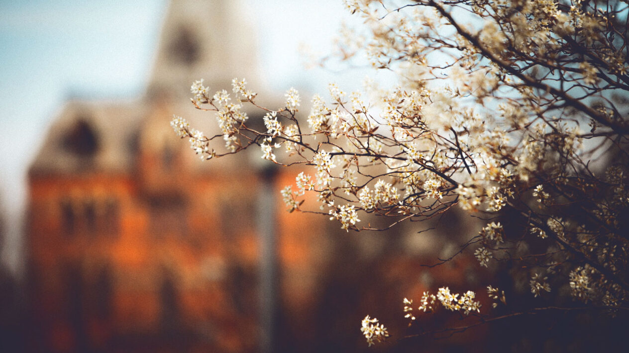 April 2024 - Cornellians | Cornell University