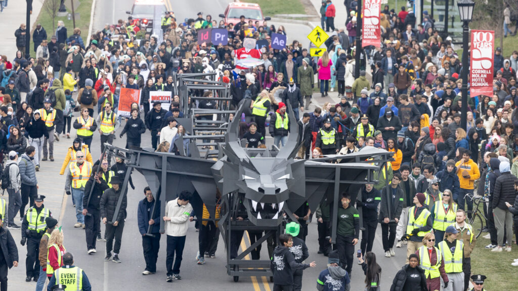 The dragon and its crew parade down Feeney Way during Dragon Day 2024