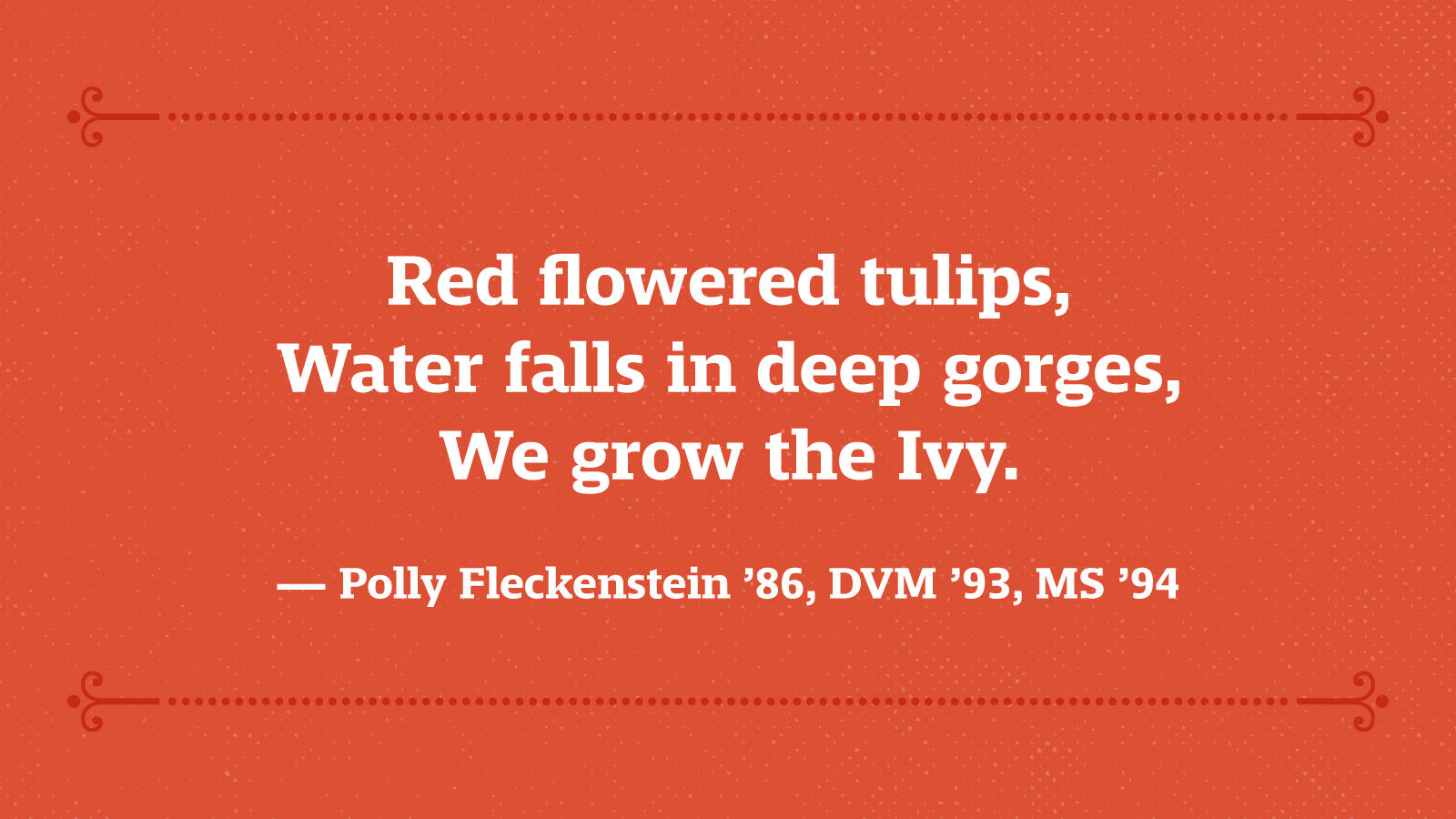 Red flowered tulips, Water falls in deep gorges, We grow the Ivy. — Polly Sisson Fleckenstein ’86, DVM ’93, MS ’94