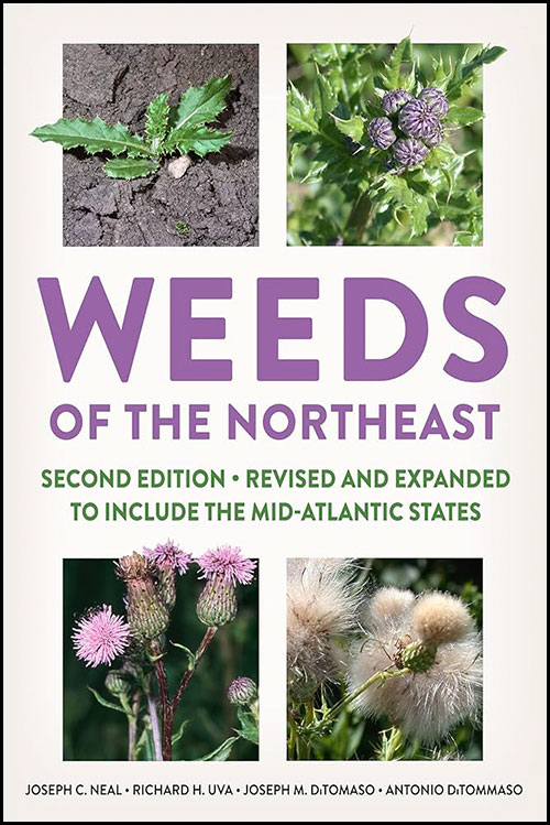 The cover of "Weeds of the Northeast"