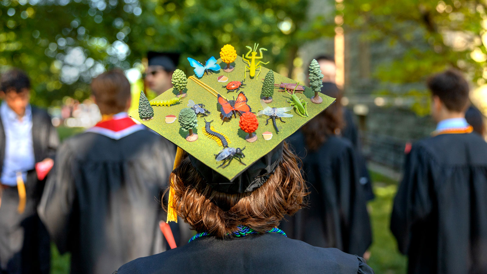 A decorated mortarboard is seen atop a graduate's head during Commencement 2024 events