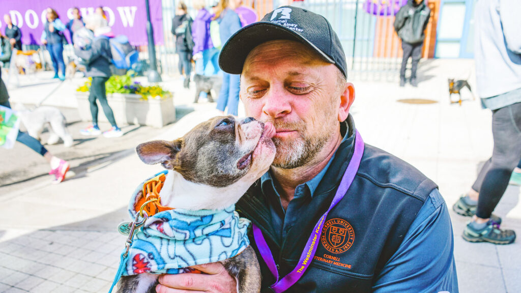 Dr. Brian Collins getting a kiss from a Boston terrier