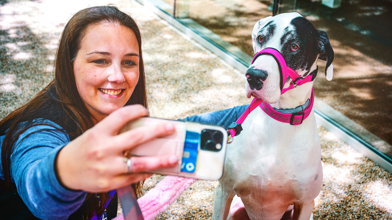 A woman taking a selfie with a great Dane