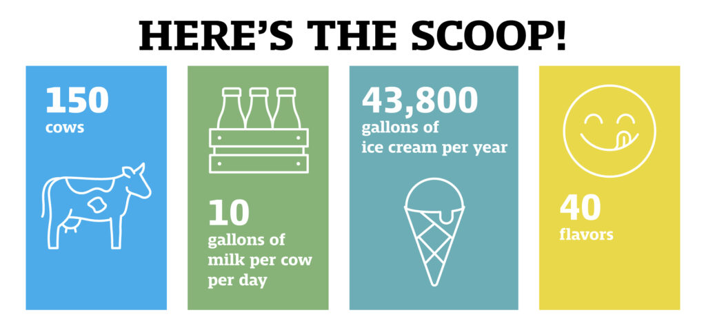 An infographic that explains there are 150 cows at the teaching dairy barn; each cow produces 10 gallons of milk per day; and 43,800 gallons of ice cream per year are made in 40 flavors