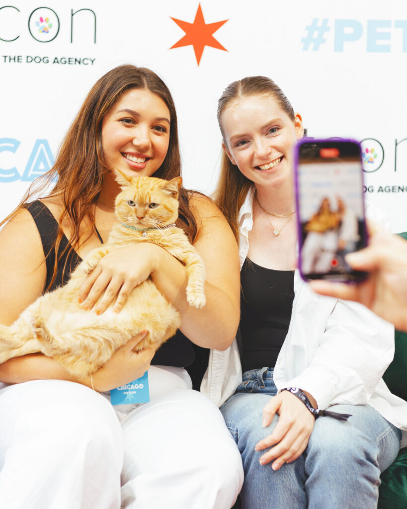 Timmy the Chonk with fans at PetCon.