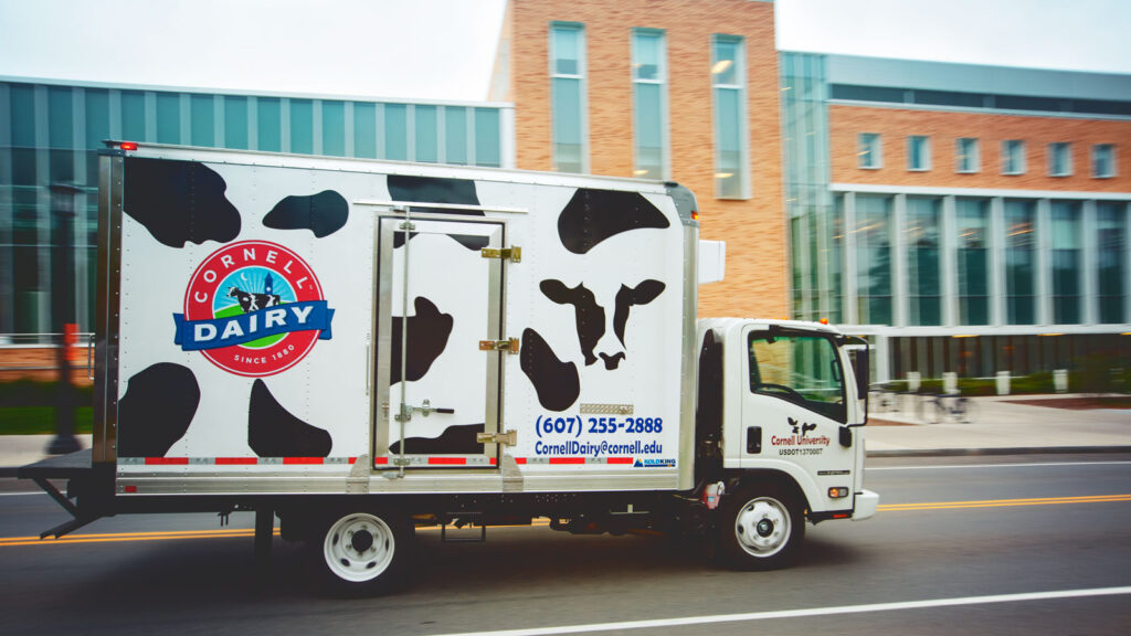 The Cornell Dairy delivery truck drives past Stocking Hall.
