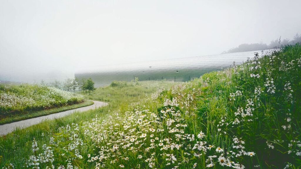 Michael Van Valkenburgh’s landscape architecture firm turned 14 acres surrounding a water treatment facility near New Haven, CT, into a nature preserve