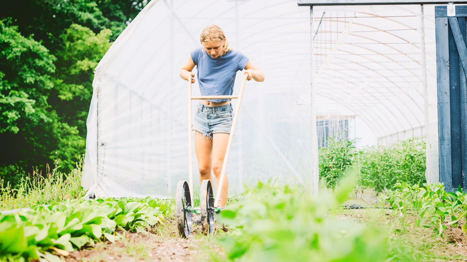 Elinor Behlman ’26 tills a garden bed