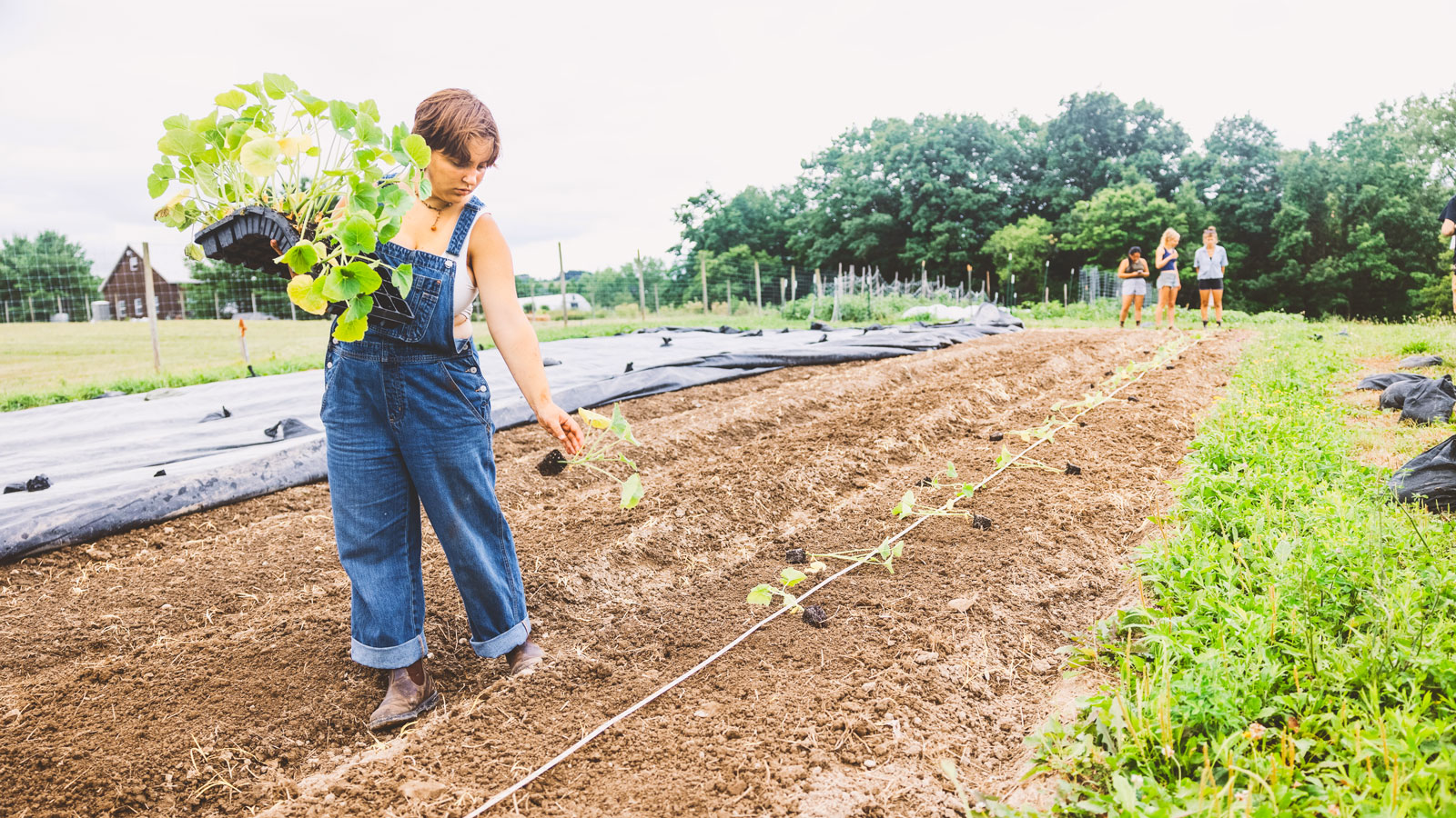 Student manager Blythe Van Ness plants crops in a garden bed