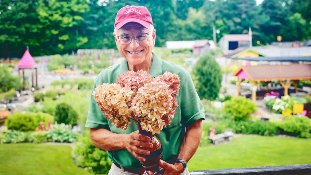 Jim Sollecito with pink dried hydrangeas at his nursery.