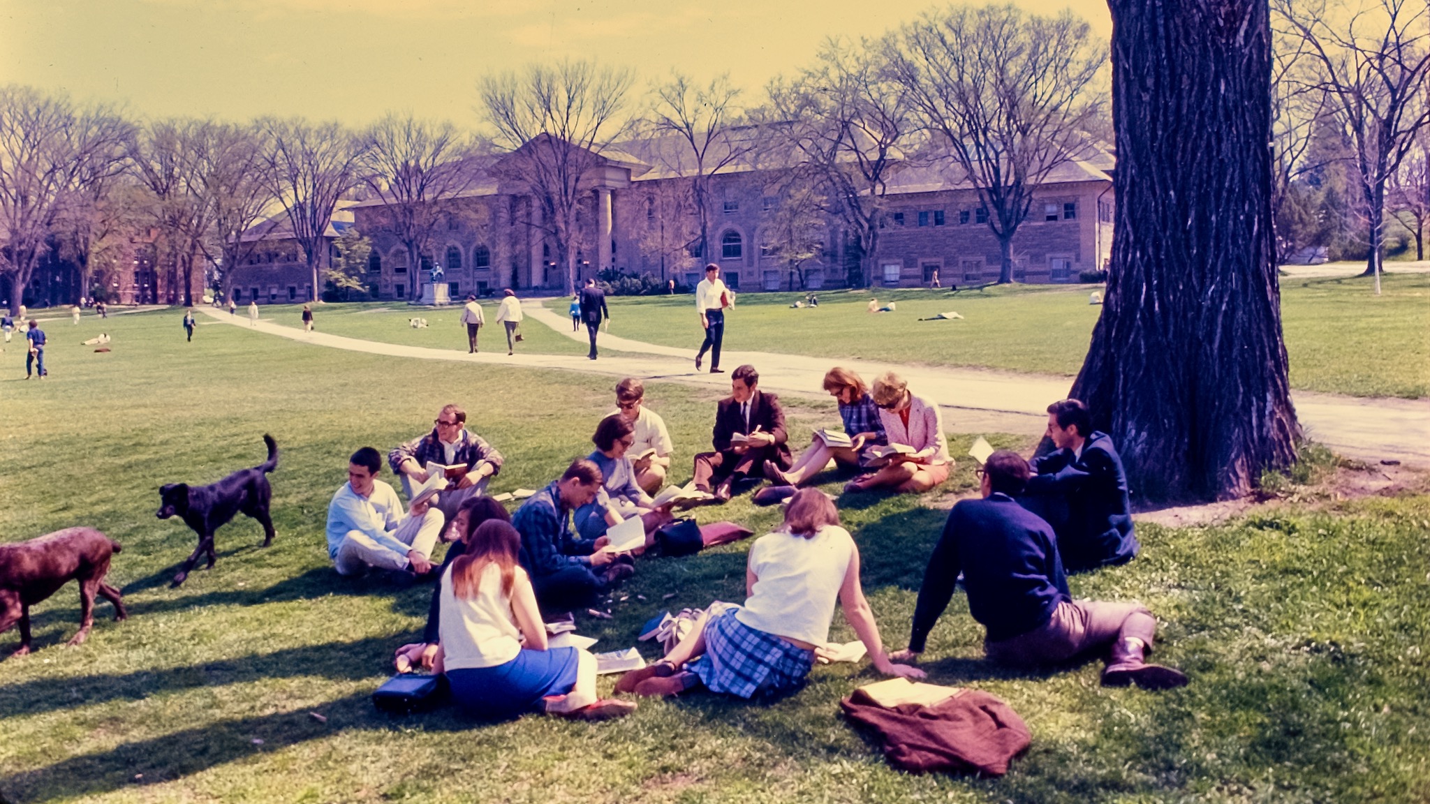 Students sit in a circle with books on the Arts Quad as two dogs wander by with Goldwin Smith Hall visible in the background, 1967