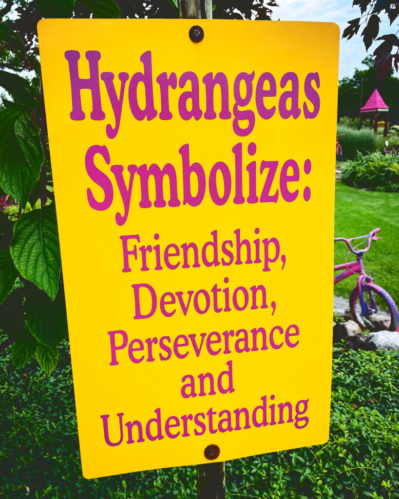 A sign that says "Hydrangeas Symbolize: Friendship, Devotion, Perseverance and Understanding," at Sollecito Landscaping Nursery.