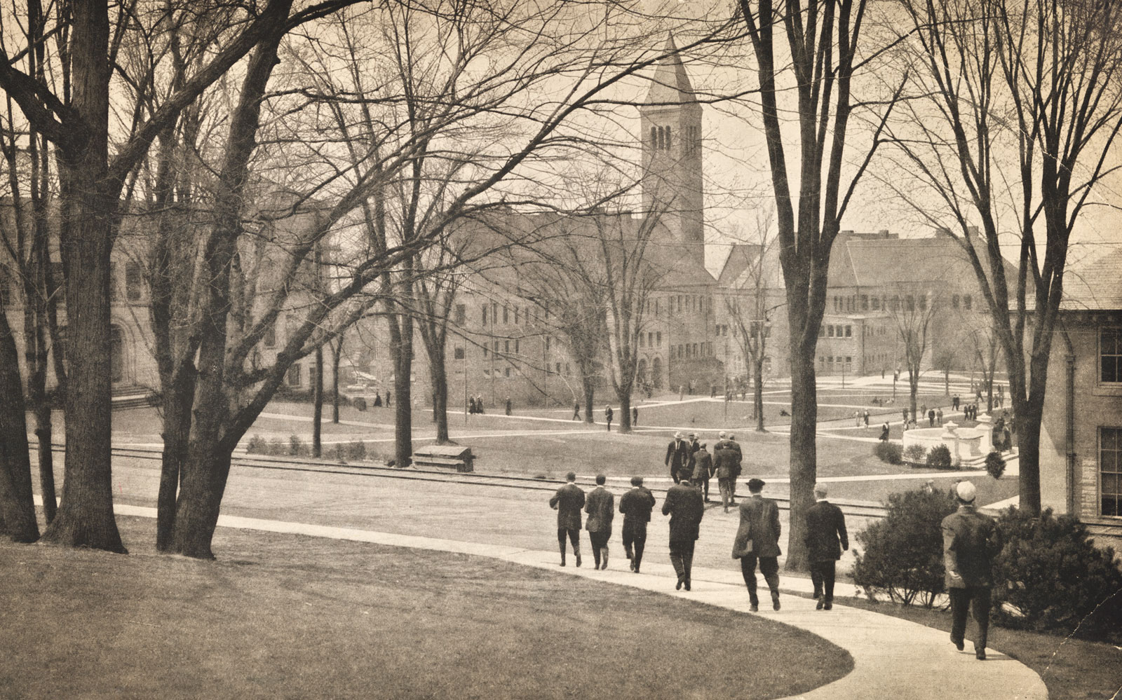 View from A.D. White House driveway