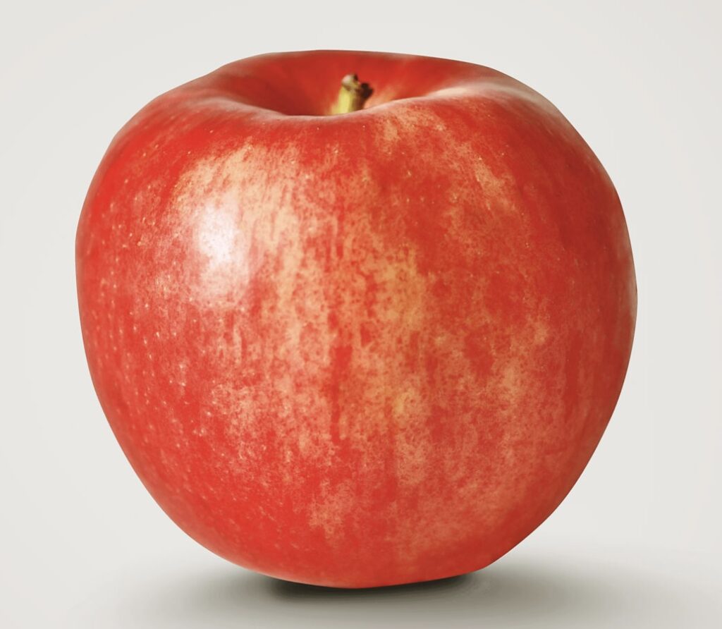 An Autumncrisp apple