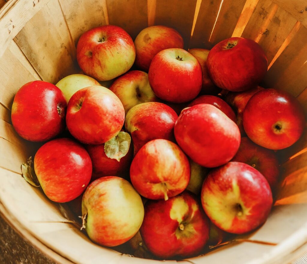 Cortland apples in a basket.