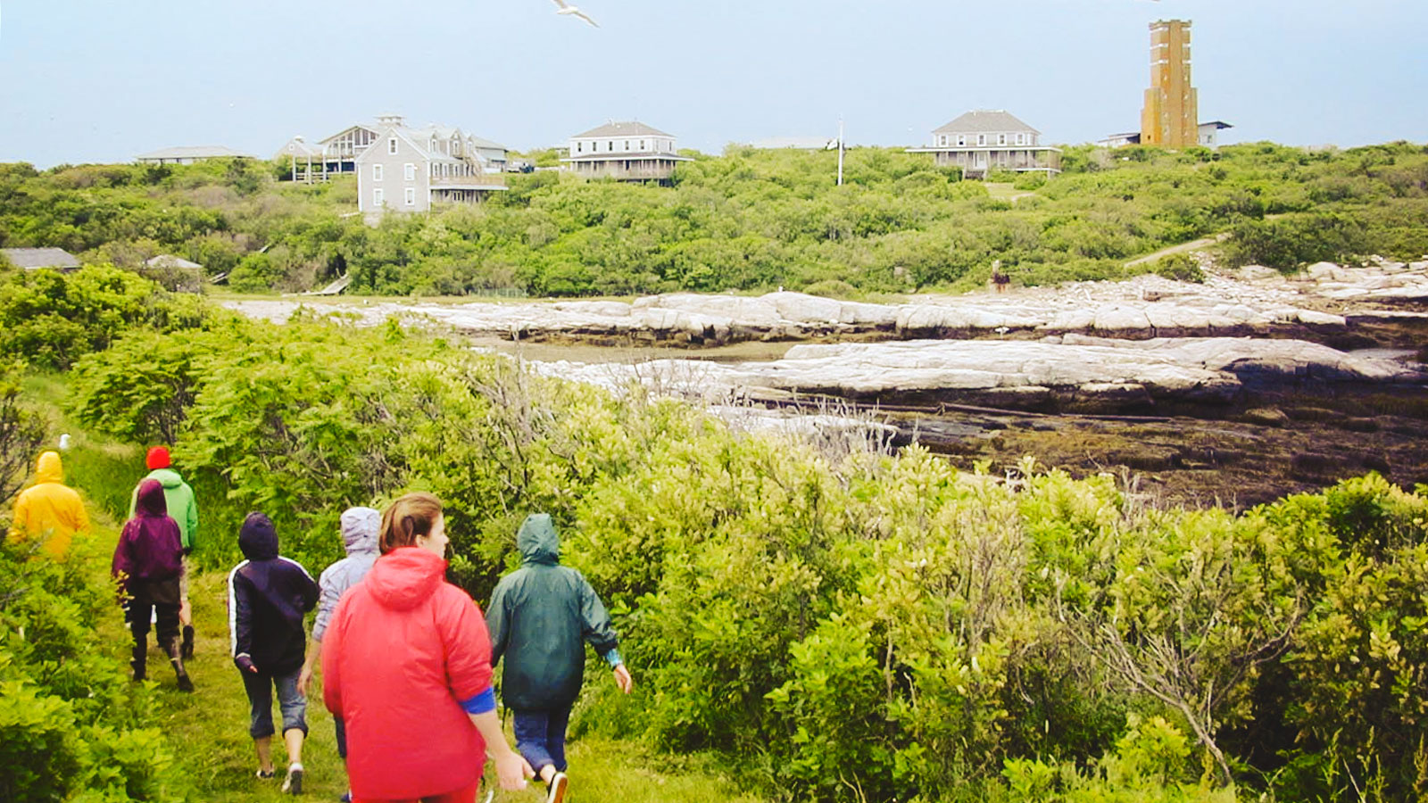 Students head out for field work on the island