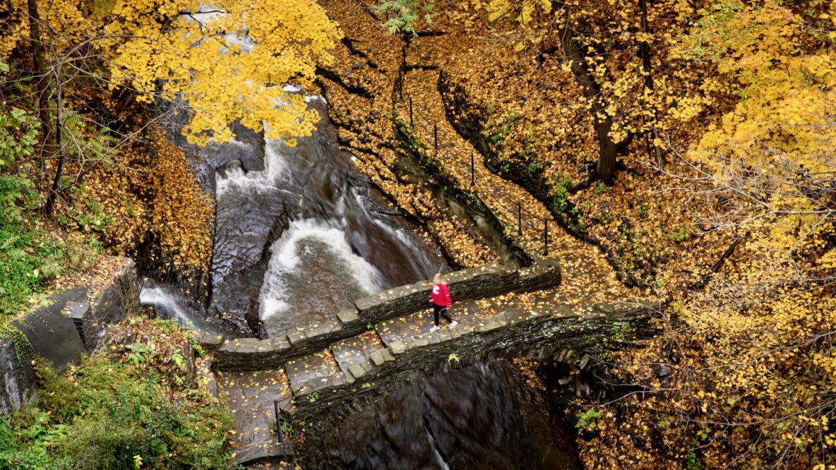 During the Season of Dazzling Color, It’s Big Red—and Yellow and Orange