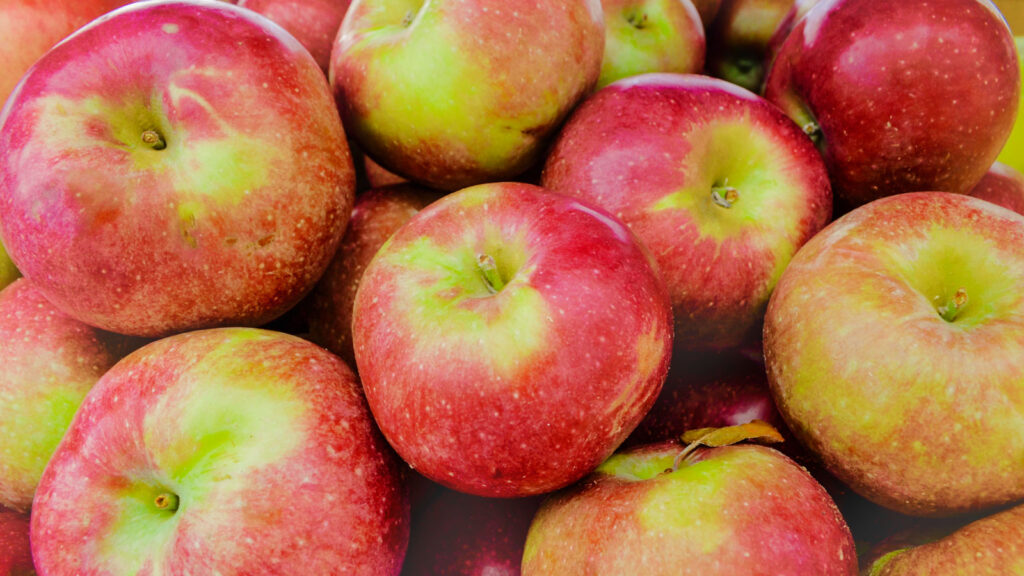 A display of ripe Macoun apples.