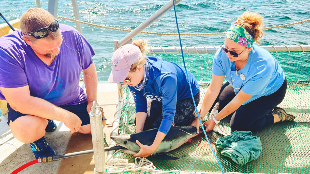 Researchers conducting field work on a boat