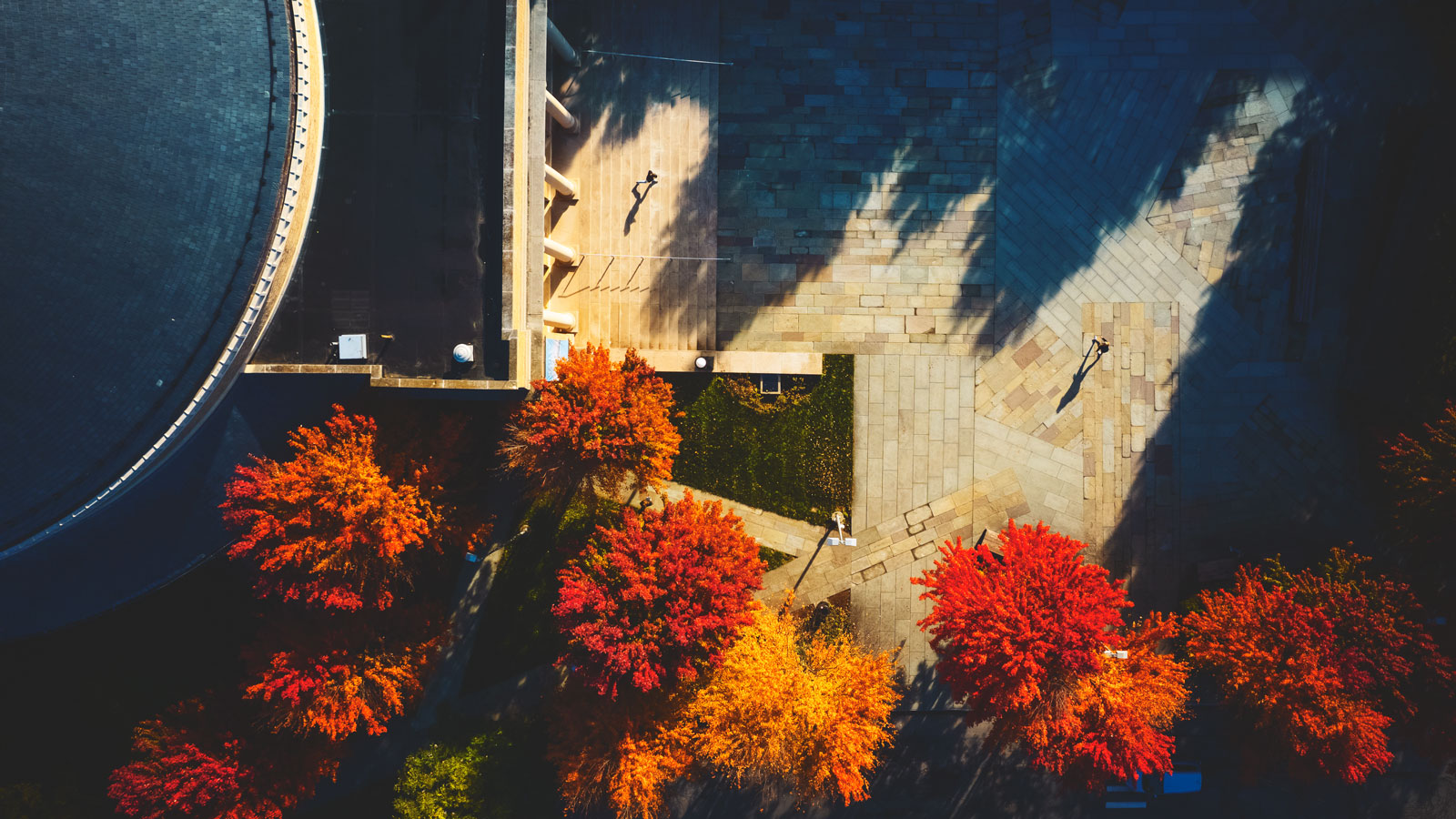 Aerial scene of Bailey Hall in autumn