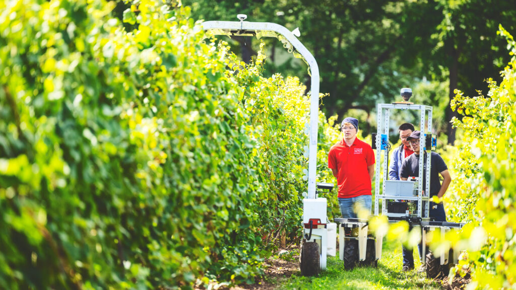 Yu Jiang and his team demonstrate robotic technology to leadership from NASA as part of the “Space for Ag Tour” at the Cornell Agritech campus in Geneva, NY on Tuesday, August 20, 2024. (Ryan Young / Cornell University)