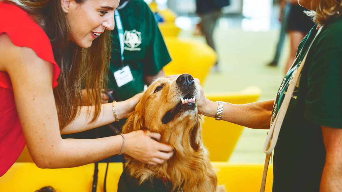 These Big Red Volunteers Have Warm Hearts—and Wet Noses