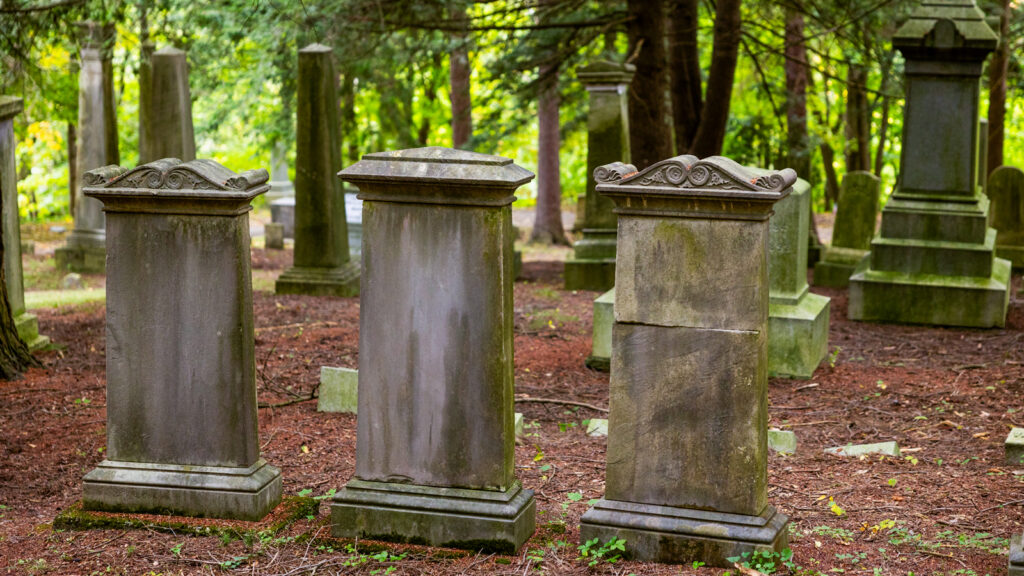 Graves in Ithaca City Cemetery