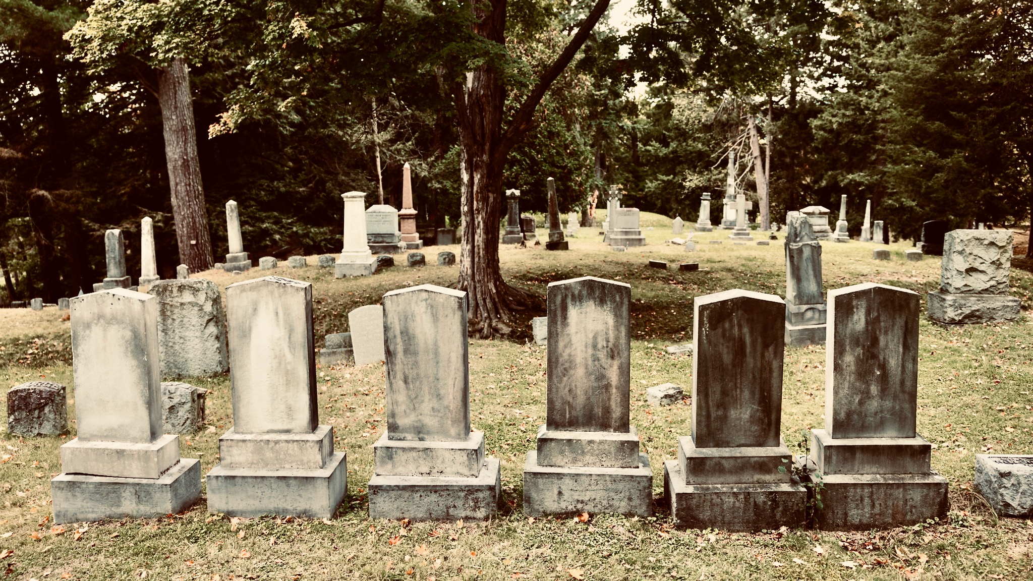 A row of tombstones in Ithaca city cemetery