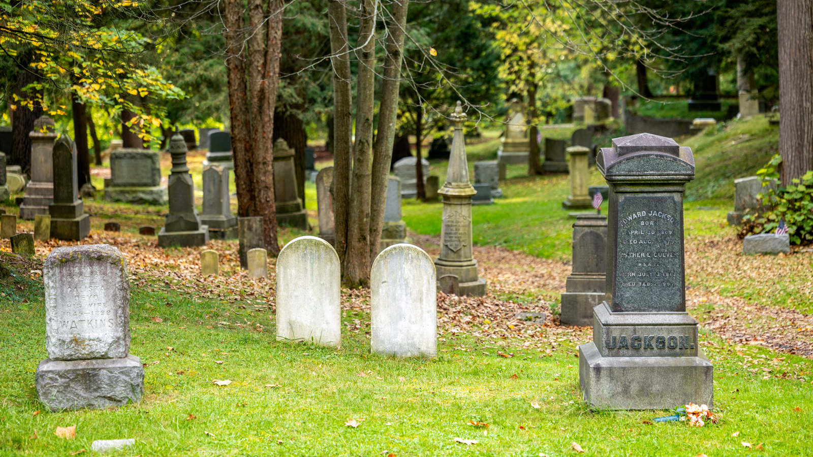 Graves in Ithaca City Cemetery