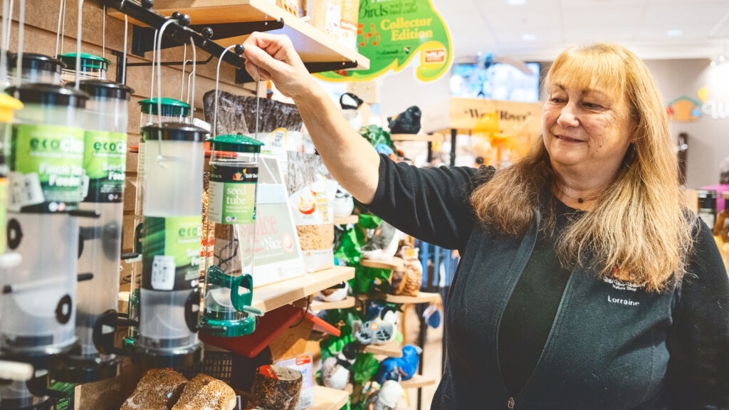 Lorraine Treacy '81 hangs up a birdfeeder in the Wildbirds Unlimited Store at the Lab of Ornithology.