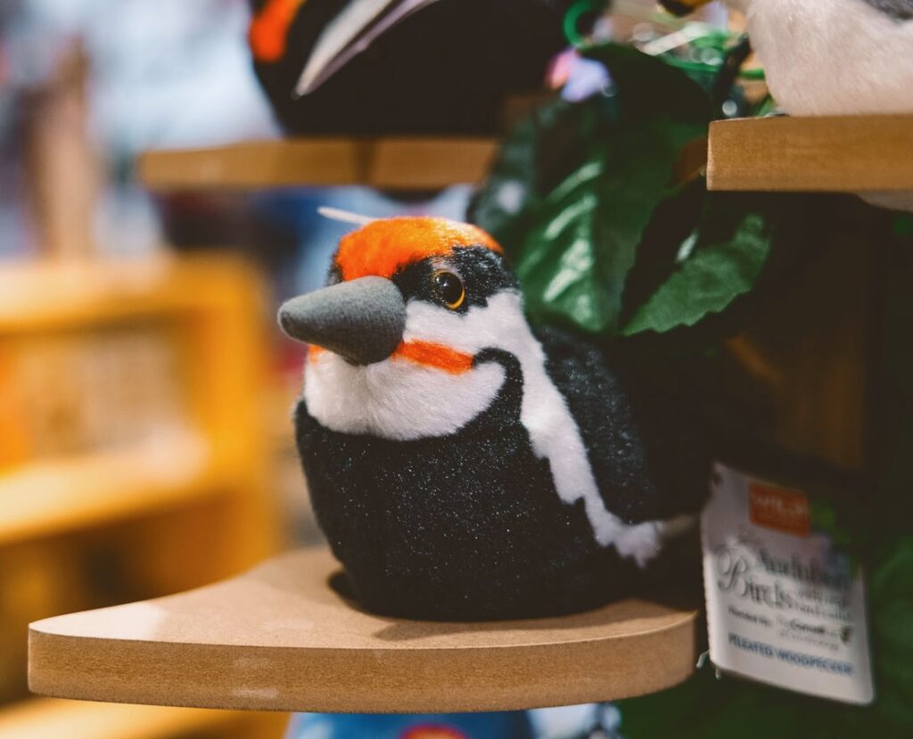 A stuffed animal of a bird at the Wild Birds Unlimited store.