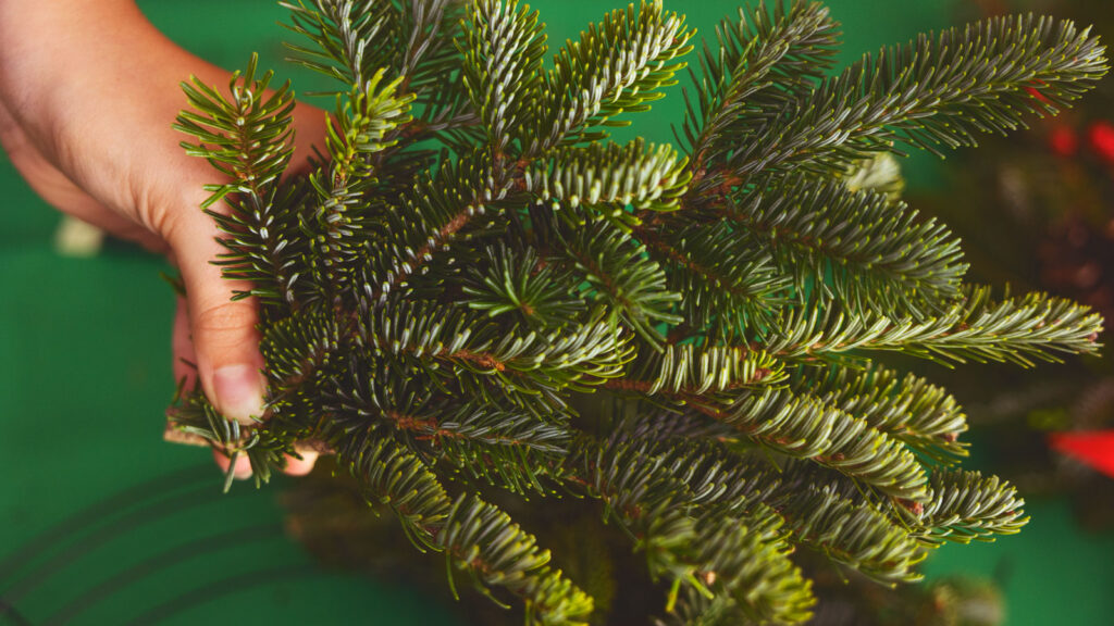 Pieces of greenery stacked on top of each other and held in place with a pinch at the stick ends.