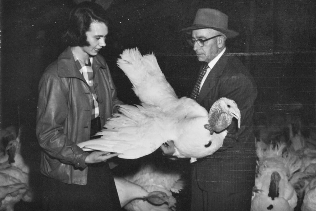 Prof. Earl Smith, right, and research associate Mary Holmes Moon ’56 hold an Empire White at the Cornell turkey farm in 1953