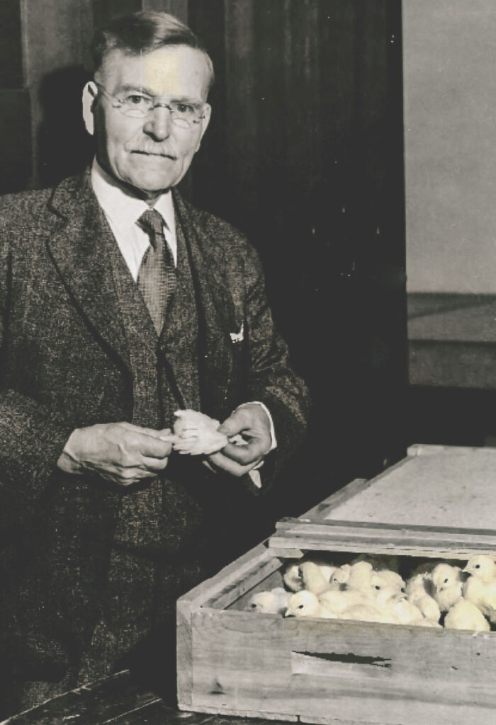 Prof. James Rice with bird chicks