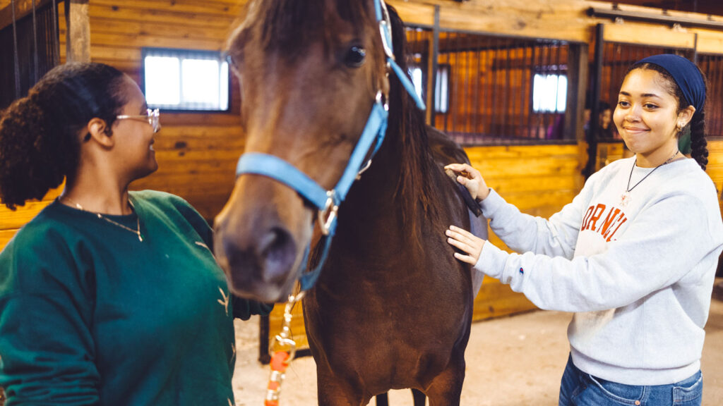 Members of the Block and Bridle student group with a horse during a tour of the teaching and research barn.