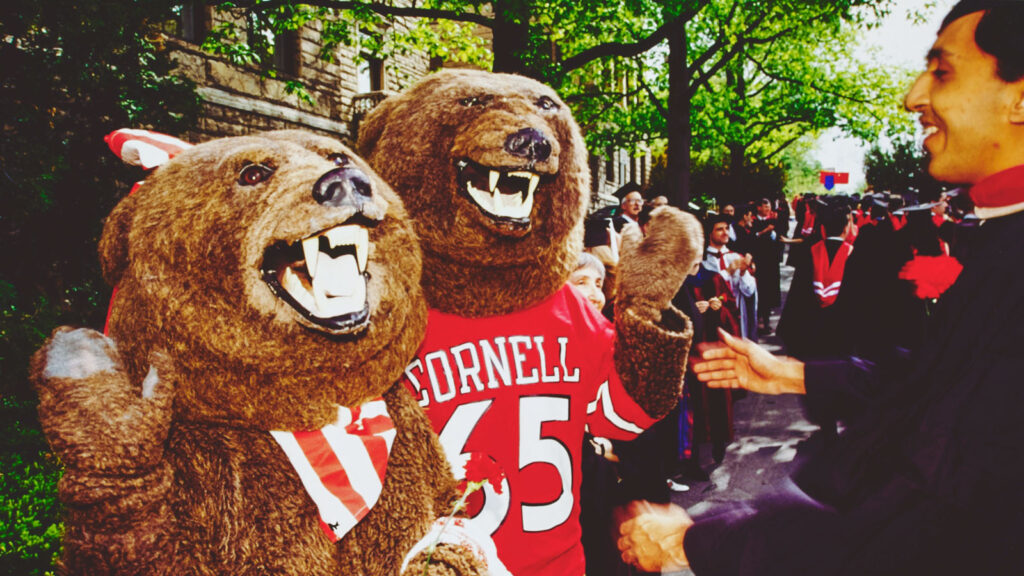 The two Big Red Bears at a 1980s Commencement