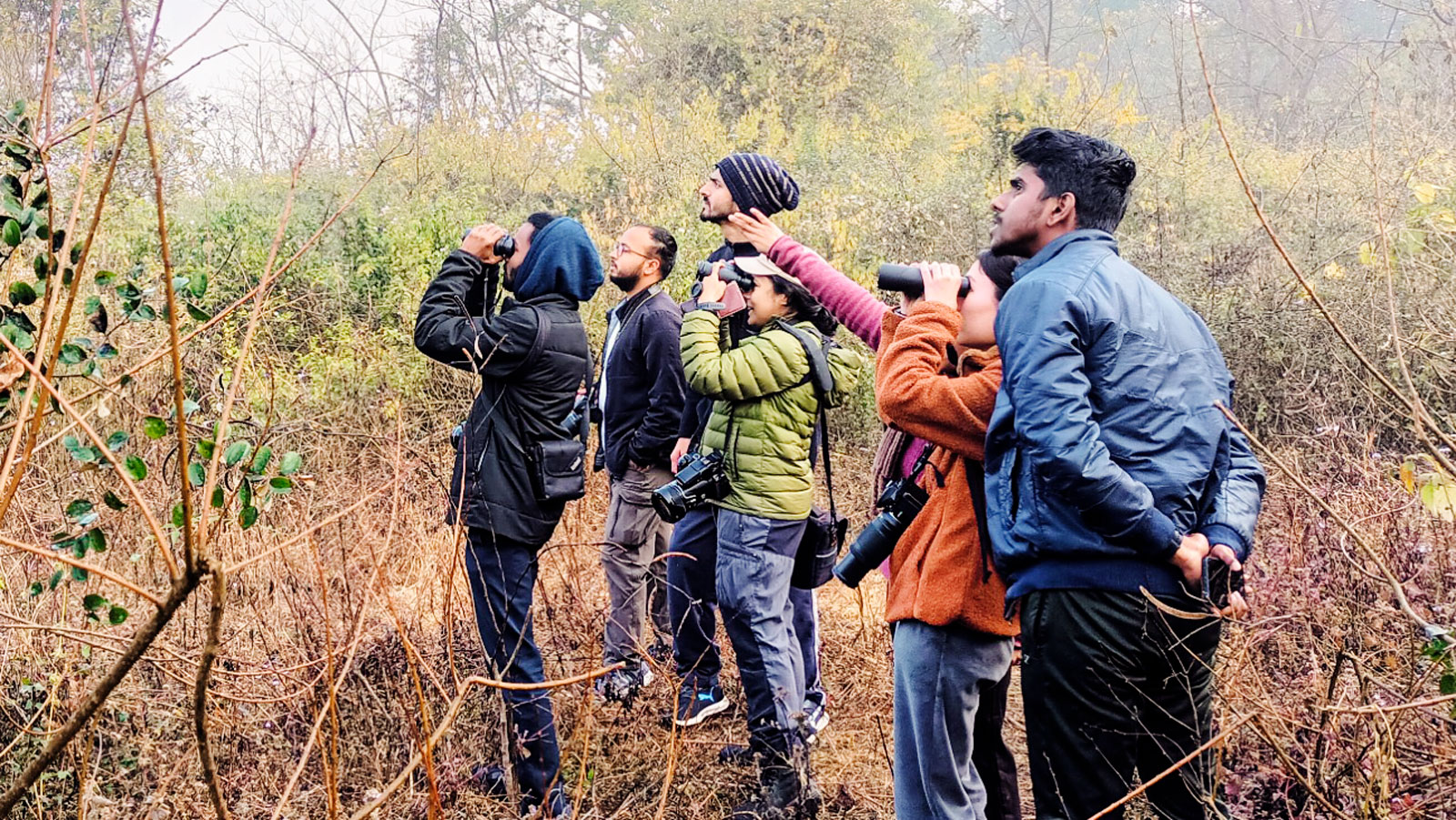 A group of six people walk through a wooded area at the Wildlife Institute of India.