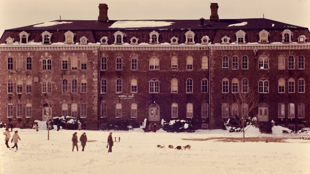 dogs frolic in the snow outside Morrill Hall in 1971