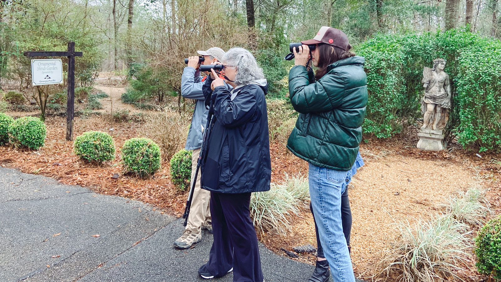 People birdwatching in Alabama.