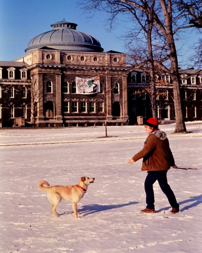 an Arts Quad dog eagerly awaits the throwing of a stick from a human companion with snow and Sibley Hall in the background in 1984