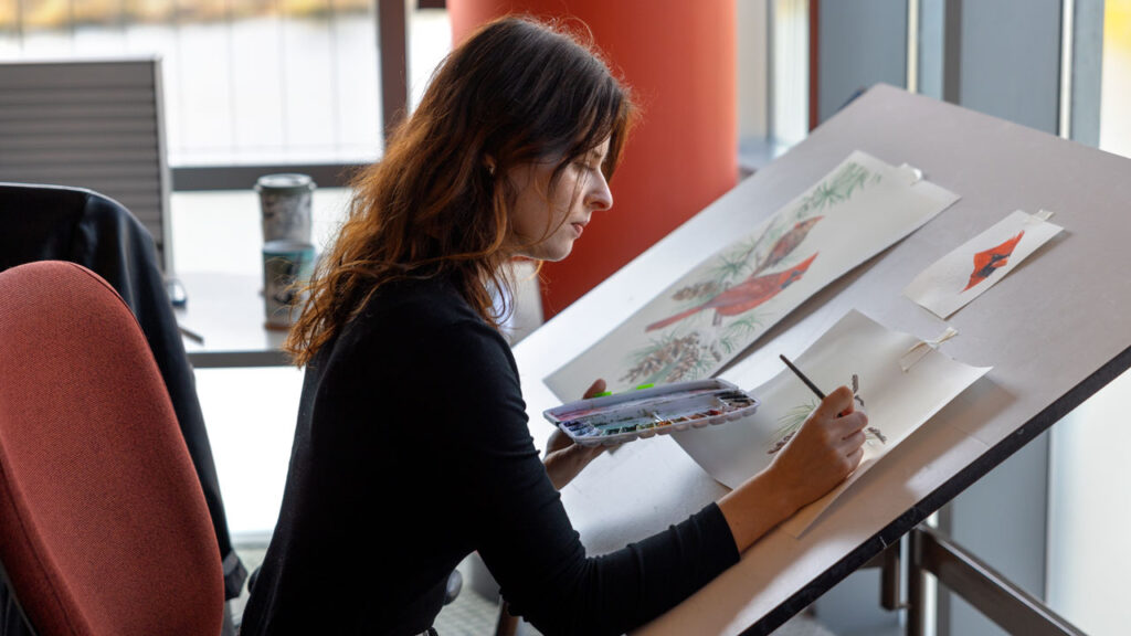 Lauren Richelieu, the Bartels Science Illustrator, works on an illustration at the Lab of Ornithology on Wednesday, October 30, 2025. (Ryan Young / Cornell University)